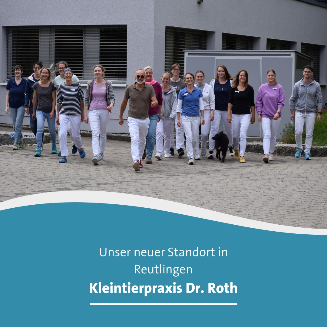 Tierarzt Dr Roth Reutlingen