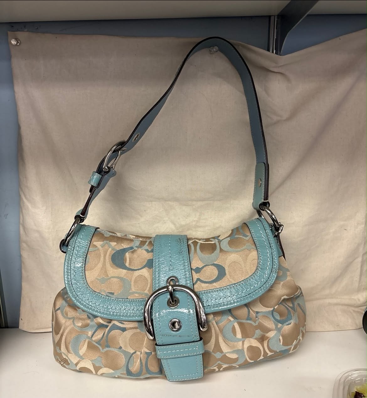 Looking for white and light blue Coach Soho bags
