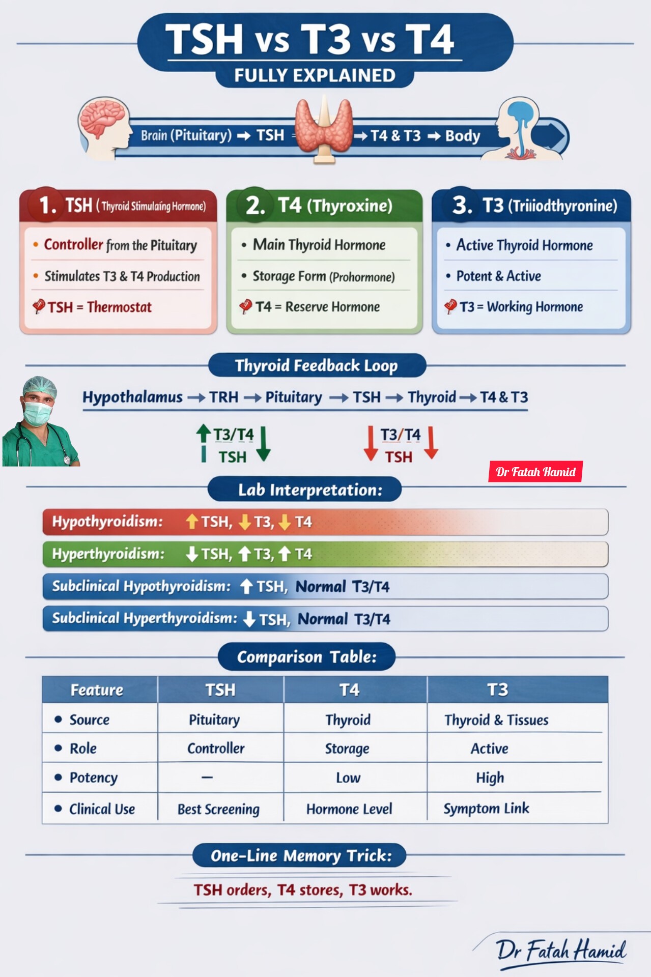 Dr Fatah Hamid - TSH vs T3 vs T4 – FULLY EXPLAINED... | Facebook