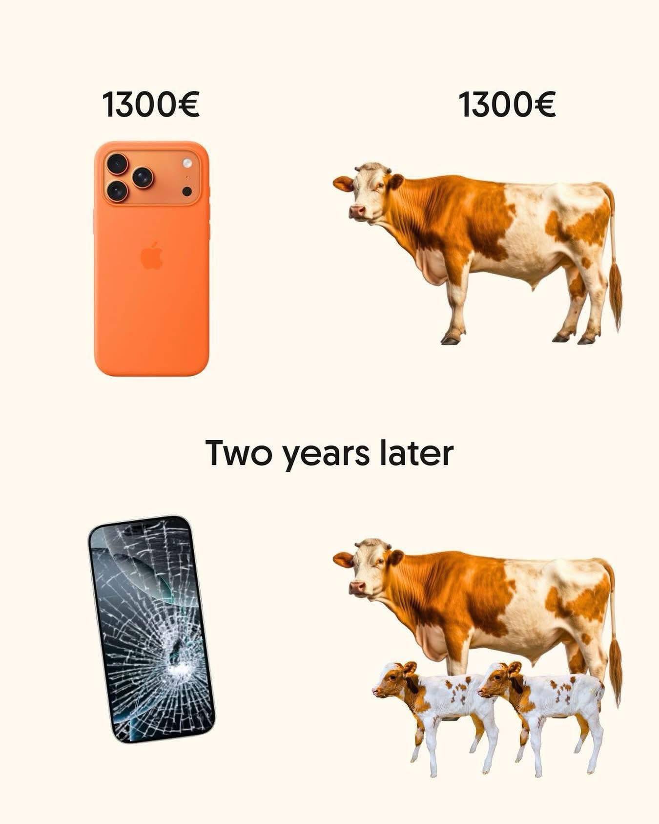 Kweet Kweet