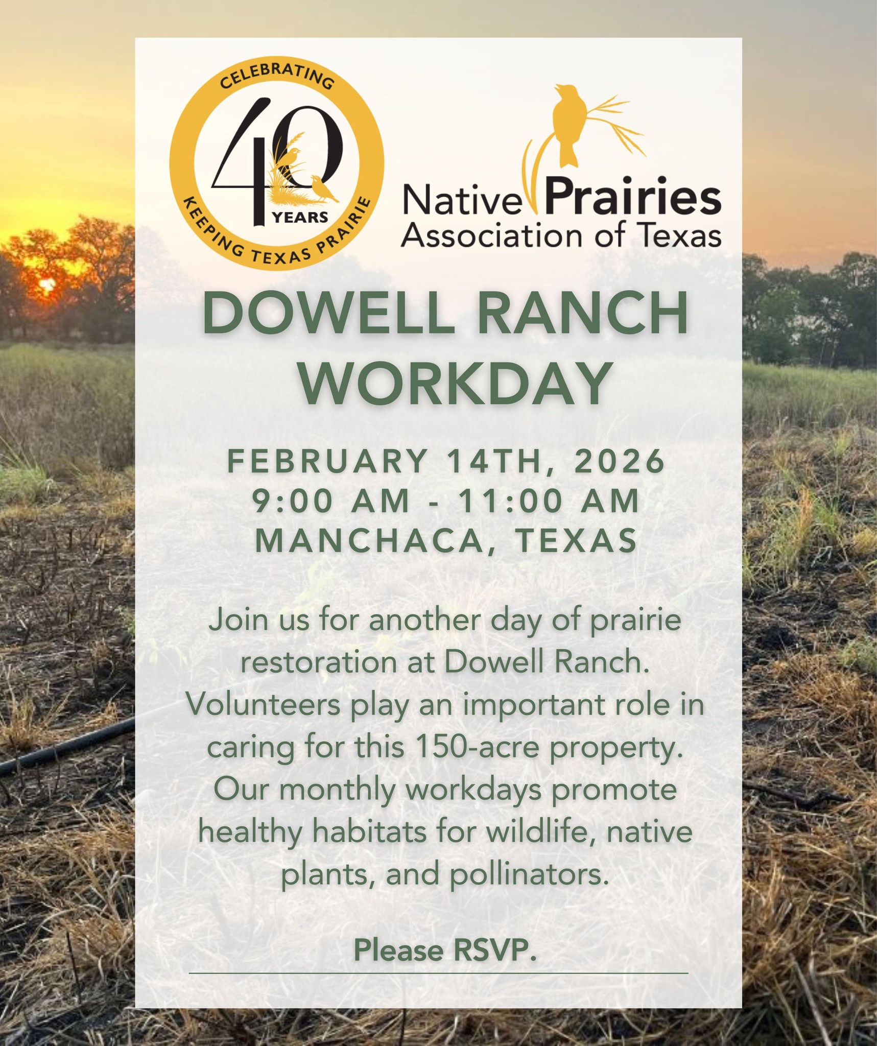 Native Prairies... - Native Prairies Association of Texas