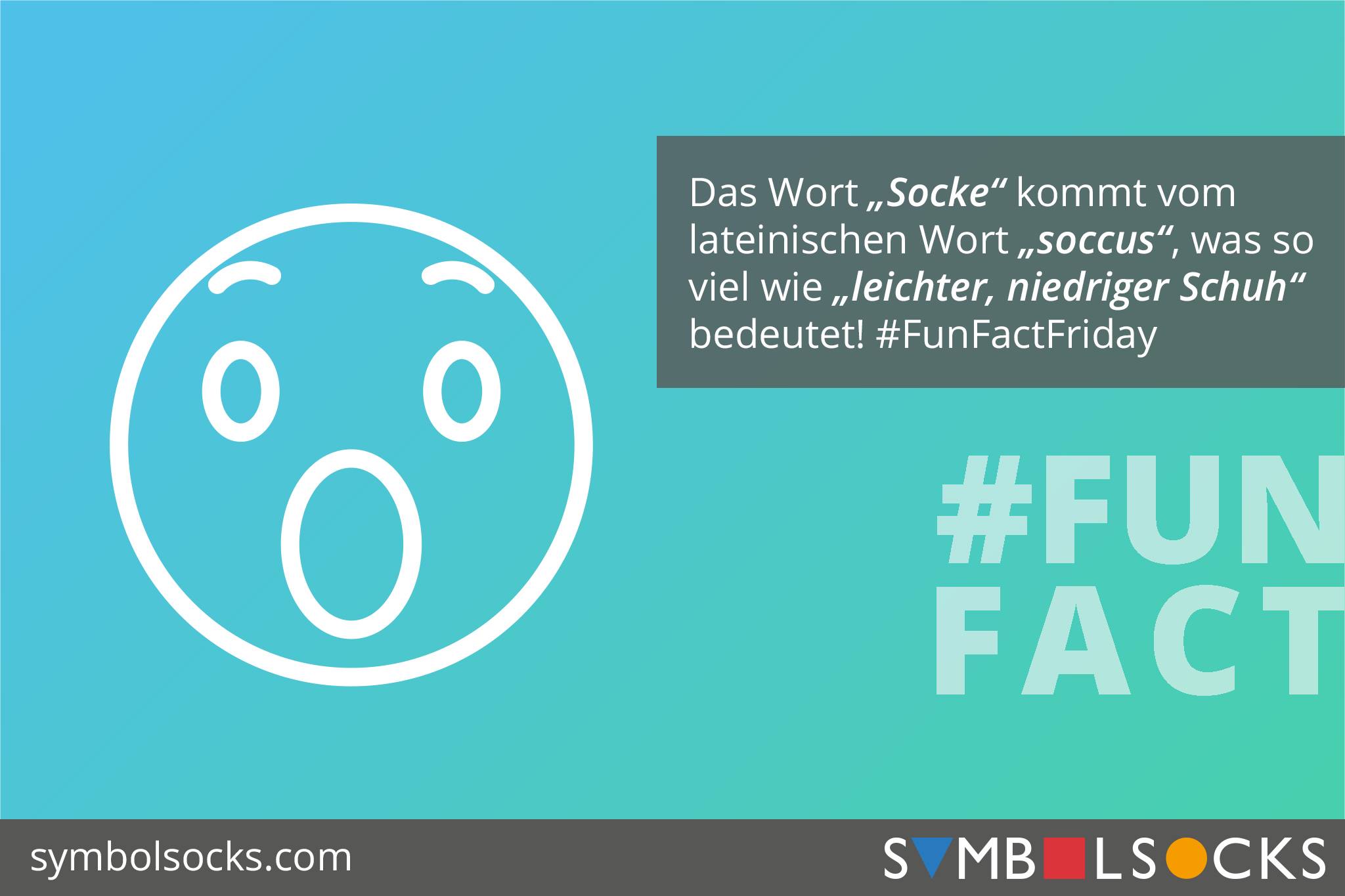 Symbolsocks - Das Wort 