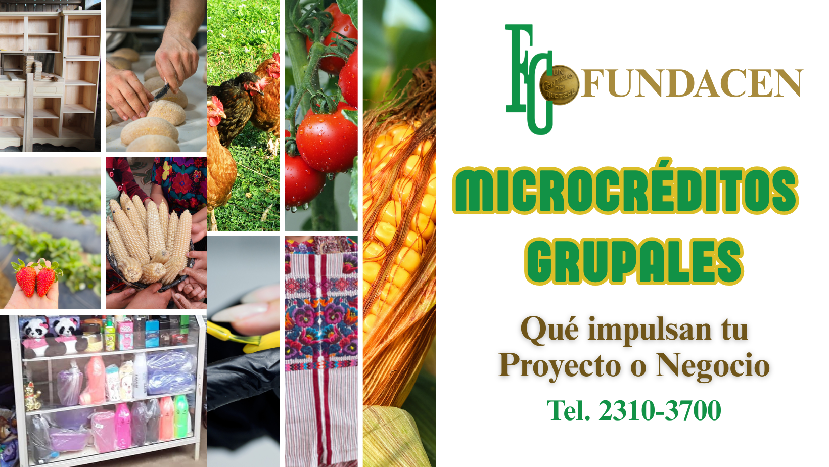 Plataforma... - Plataforma de Organizaciones Sociales POSIC