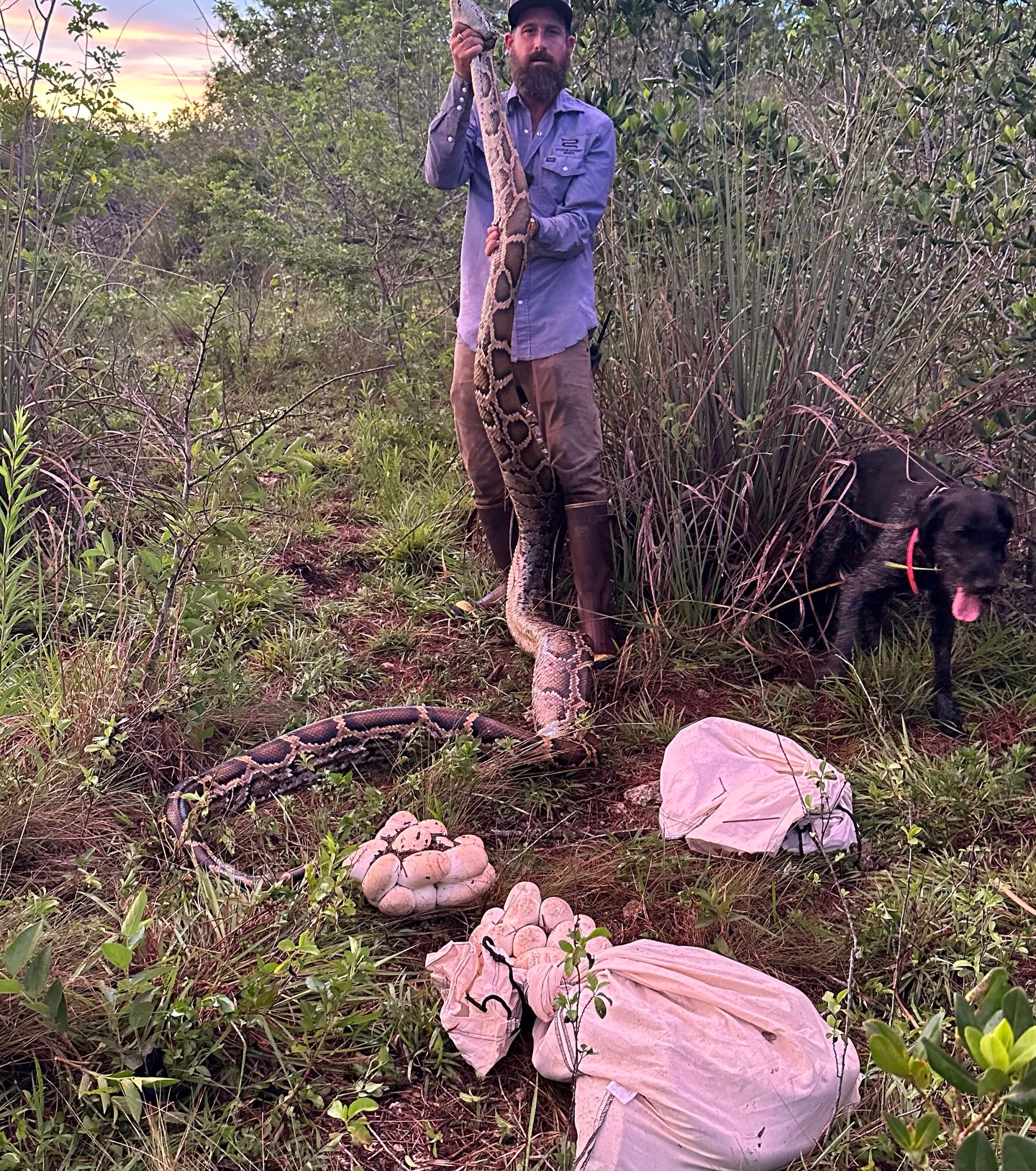 Python Cowboy Hunts added a new... - Python Cowboy Hunts
