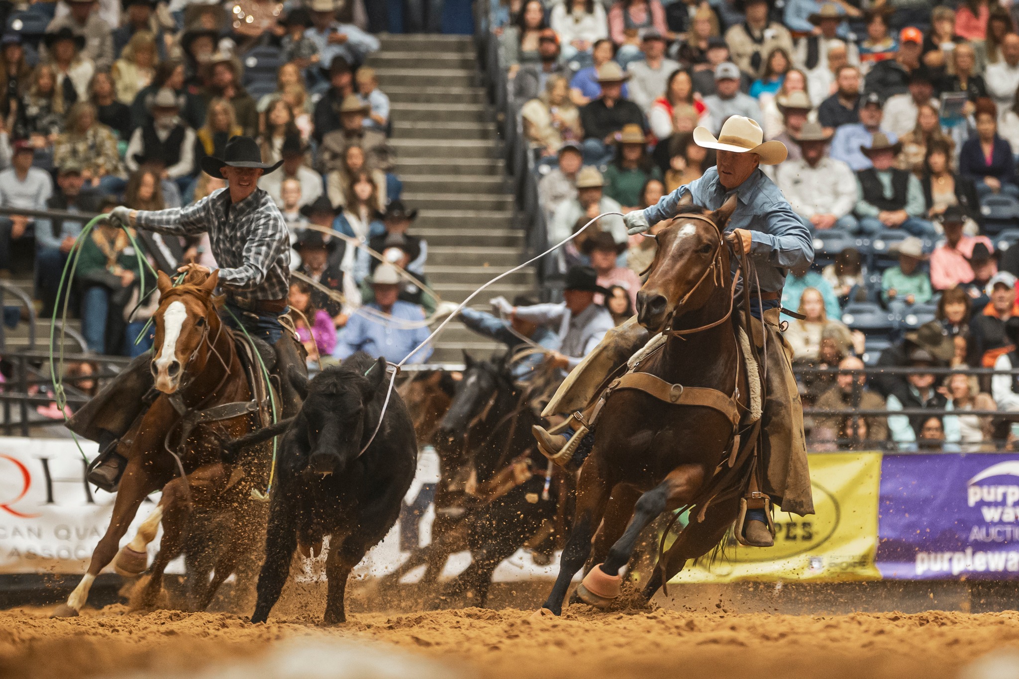 WRCA Working... - WRCA Working Ranch Cowboys Association