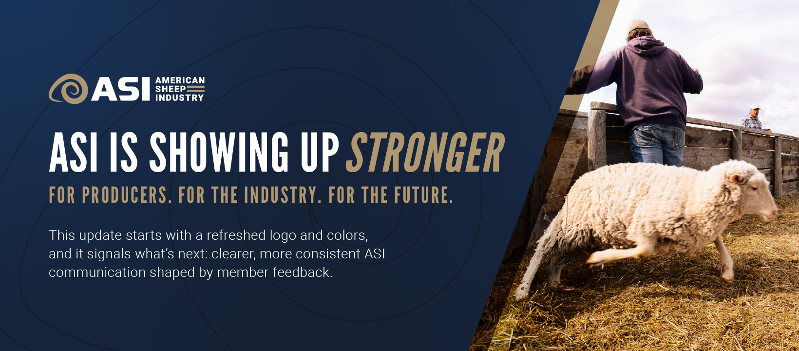 National Sheep... - National Sheep Improvement Program