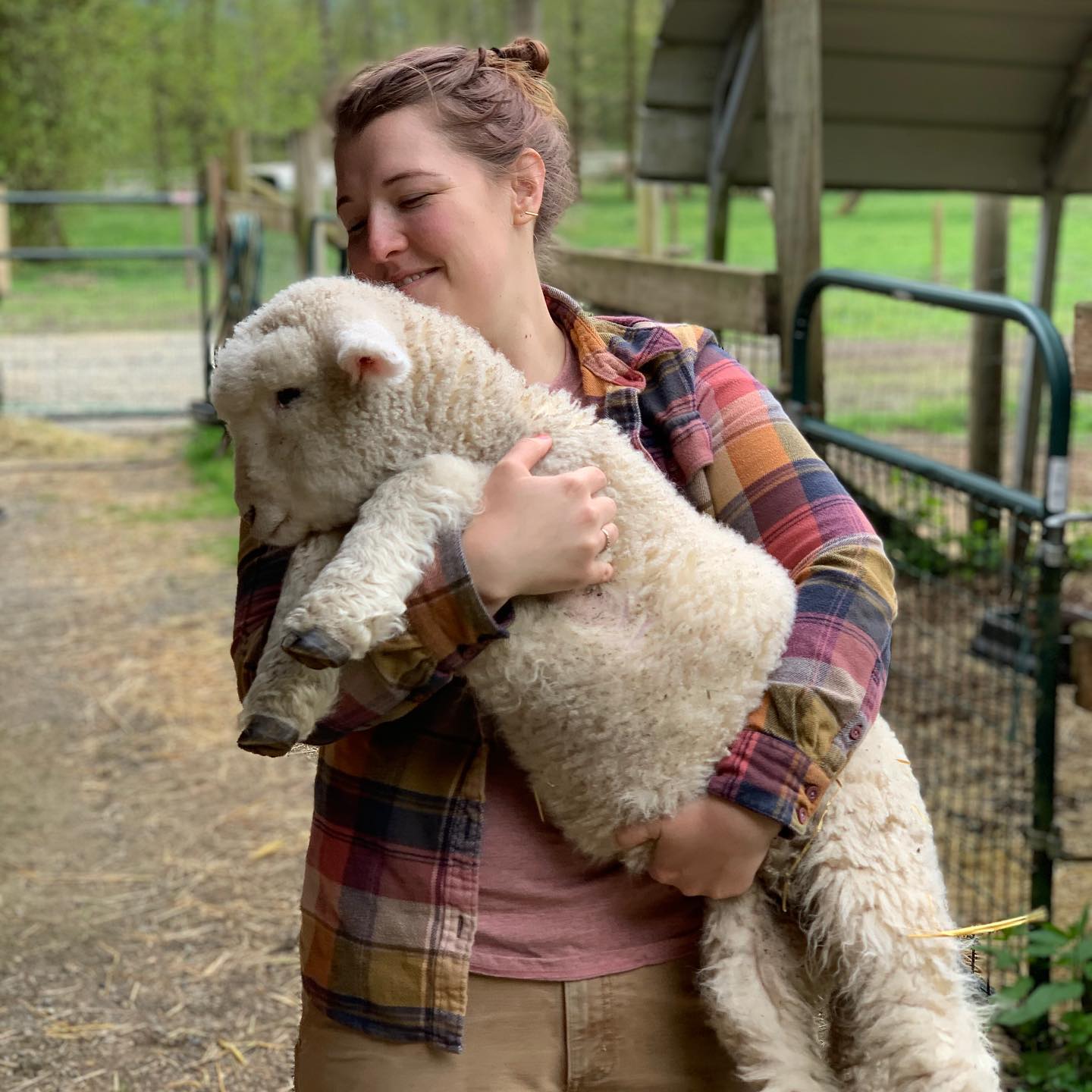 Wildwood Ranch - Juniper is almost too big to hold! She’s...