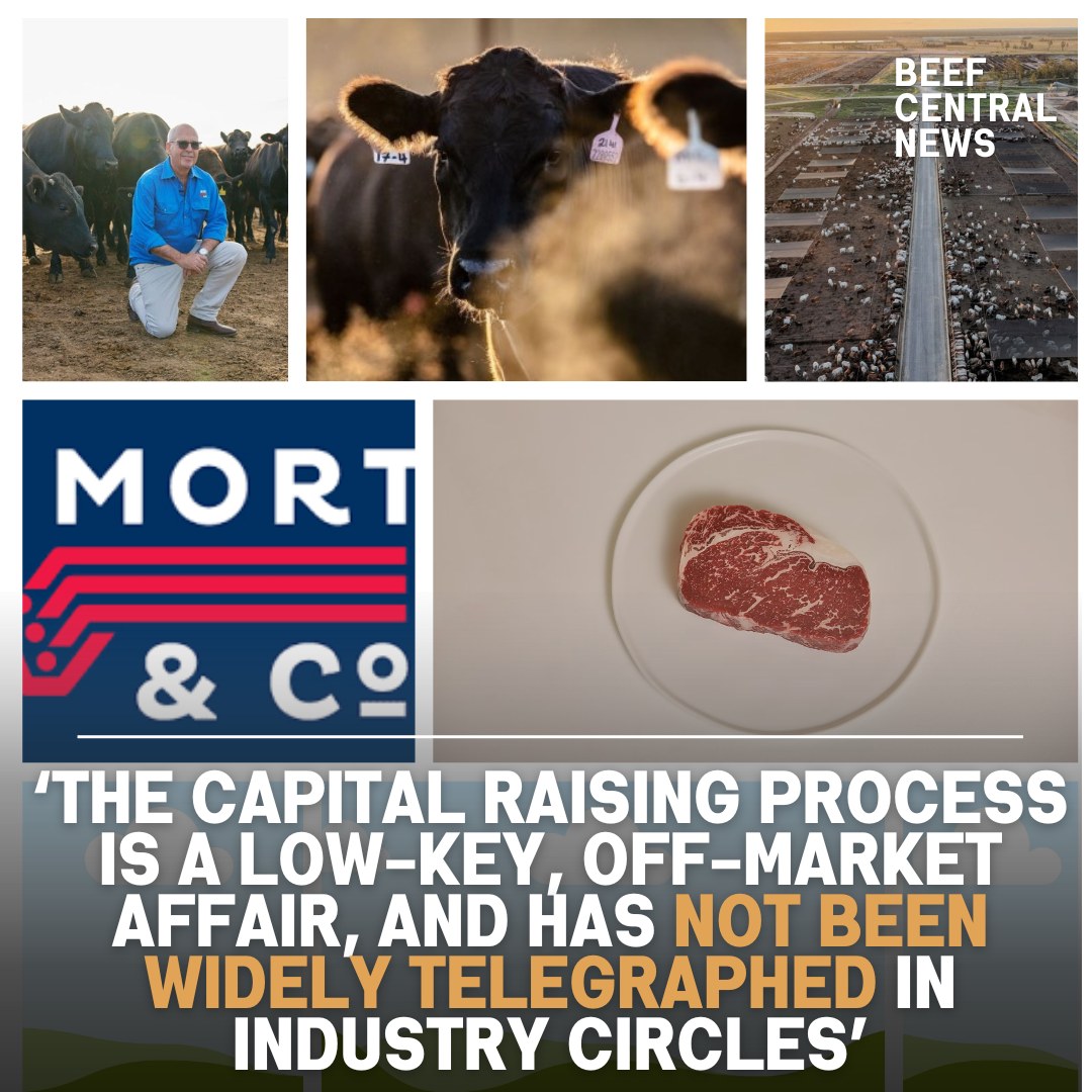 Beef Central - 🚨 Mort & Co opens door to new investors... | Facebook