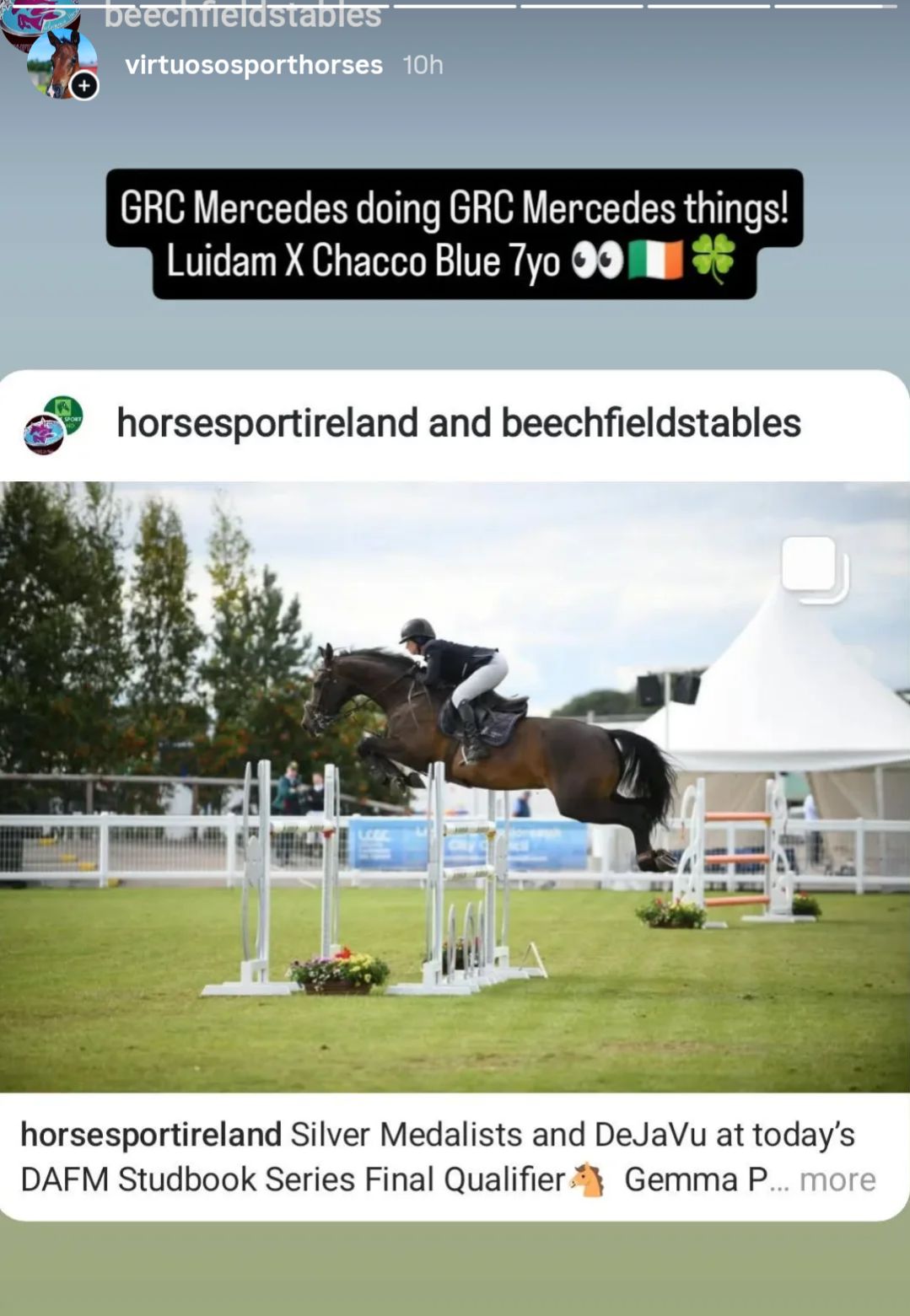 Beechfield Stables Sport Horses | Dungarvan