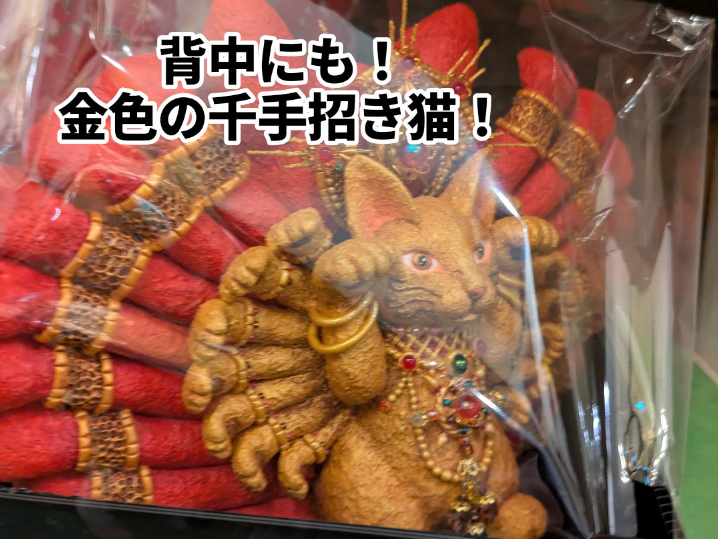 非営利型 一般社団法人 ねこたまご added a new photo. - 非営利型