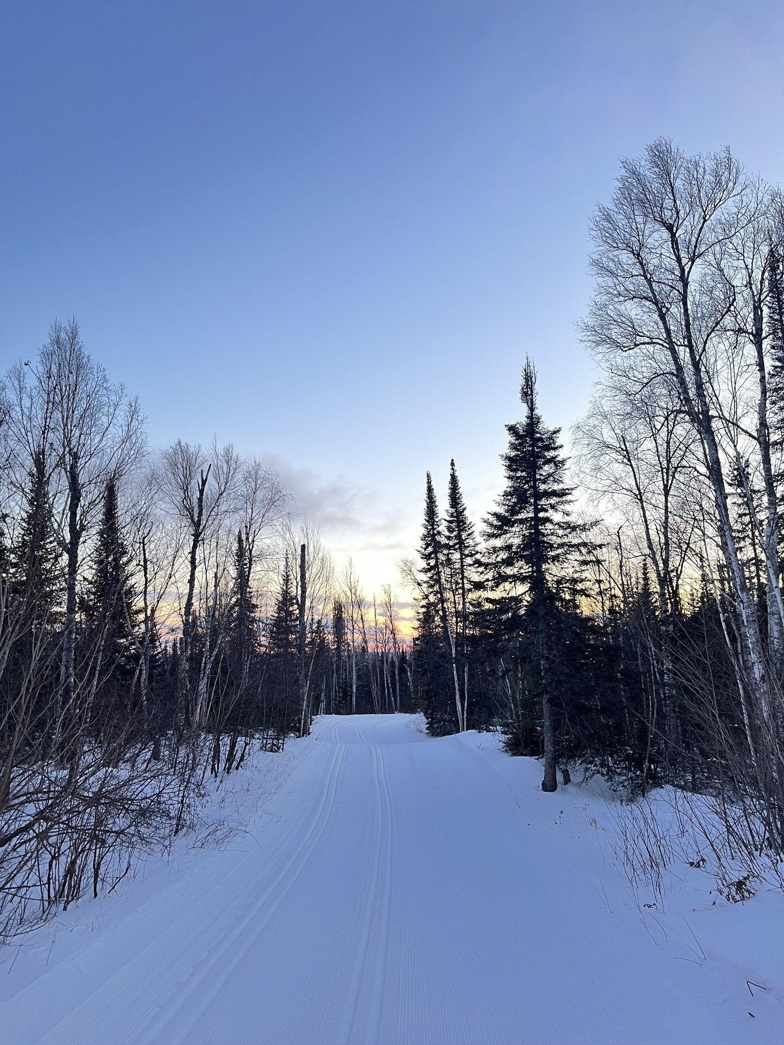 Pincushion Trails Grooming... - Pincushion Ski and Run Club | Facebook