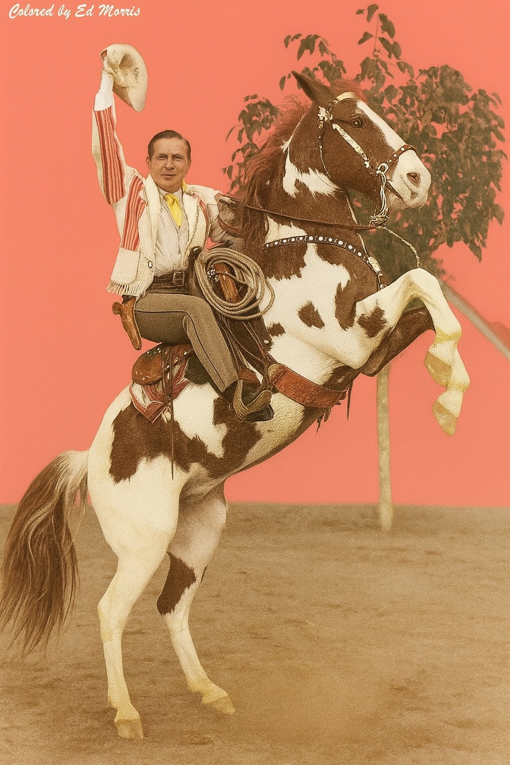 Coloured - 🤠🐴 Just your average day… riding a pinto horse like a total ...