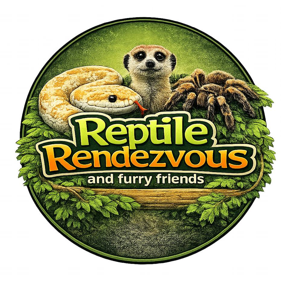 Last little boy to... - Reptile Rendezvous & Furry Friends | Facebook