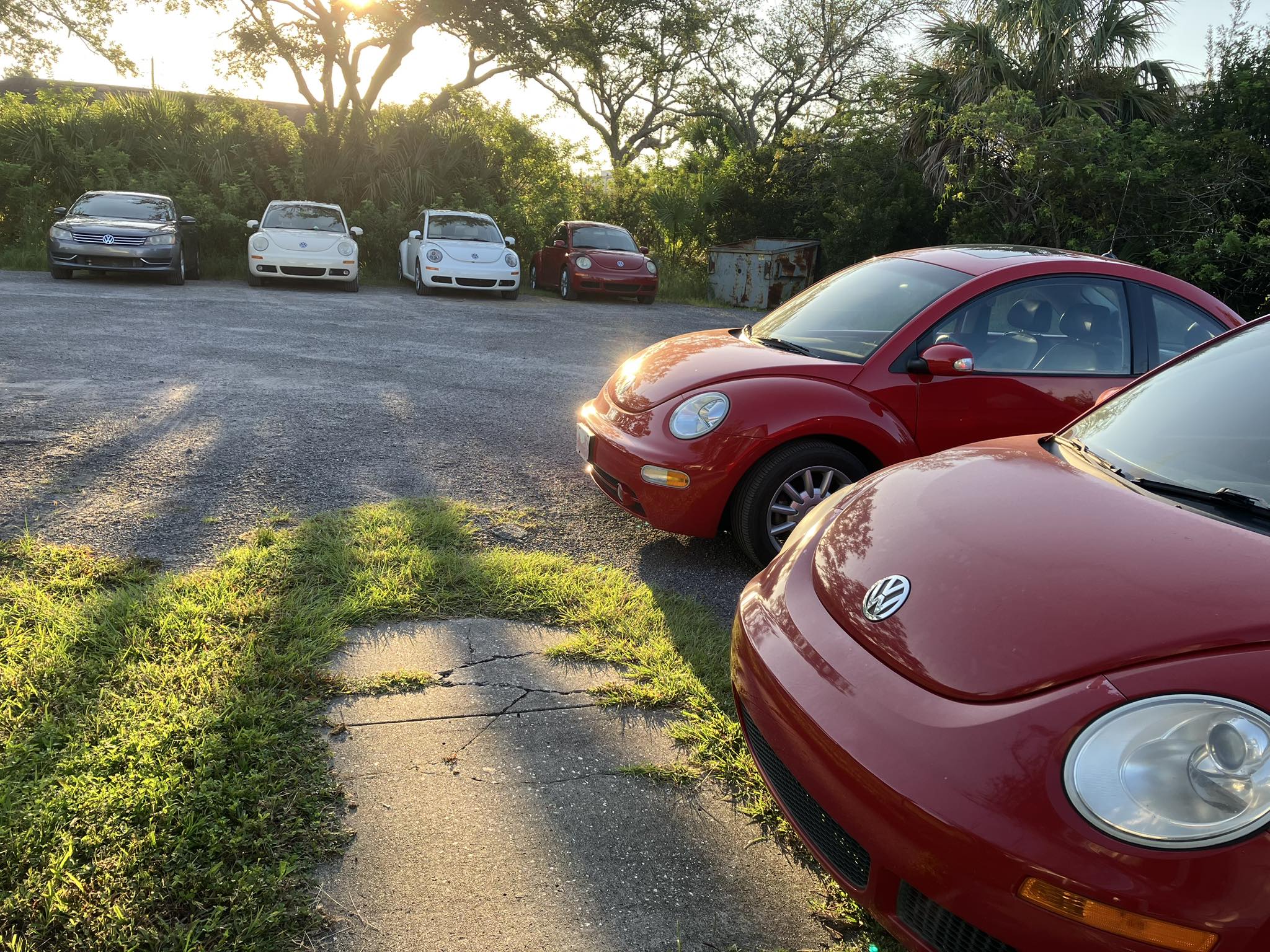 Jason's Bug Ranch | Winter Garden FL