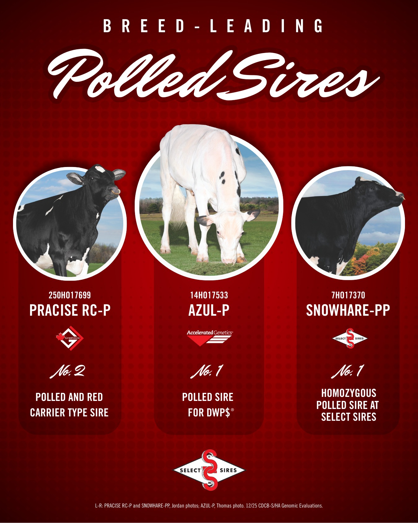 Select Sires is your source for elite Polled genetics! Contact