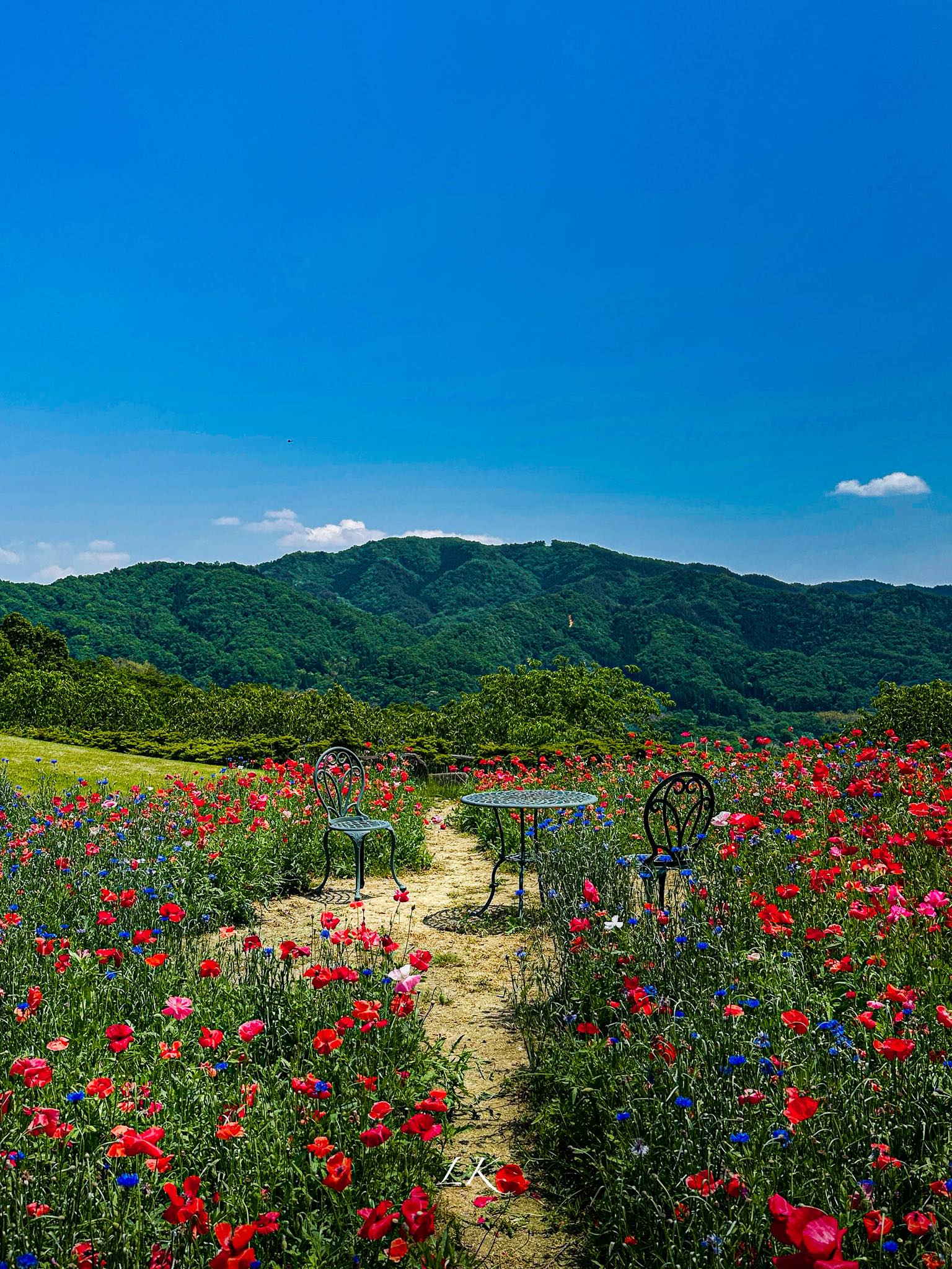 池田大作写真集 Rendezvous with Nature Rendezvous with Nature 池田