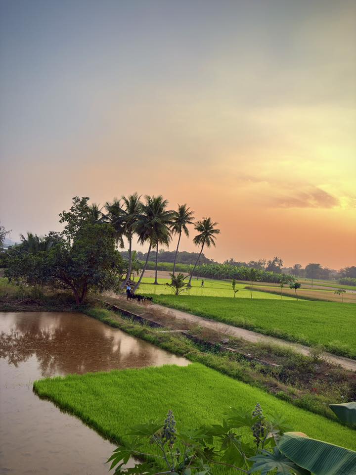 Embalam - அனைவருக்கும் அட்வான்ஸ் பொங்கல் வாழ்த்துக்கள் ... இந்த வருடம் ...