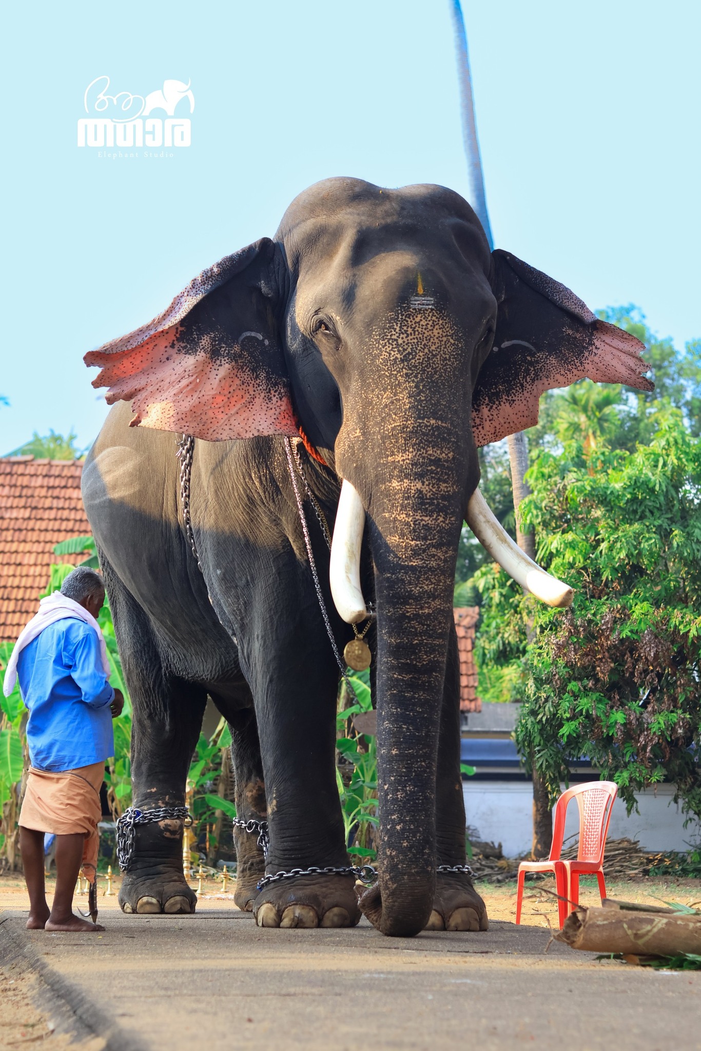 Aanatthaara - 