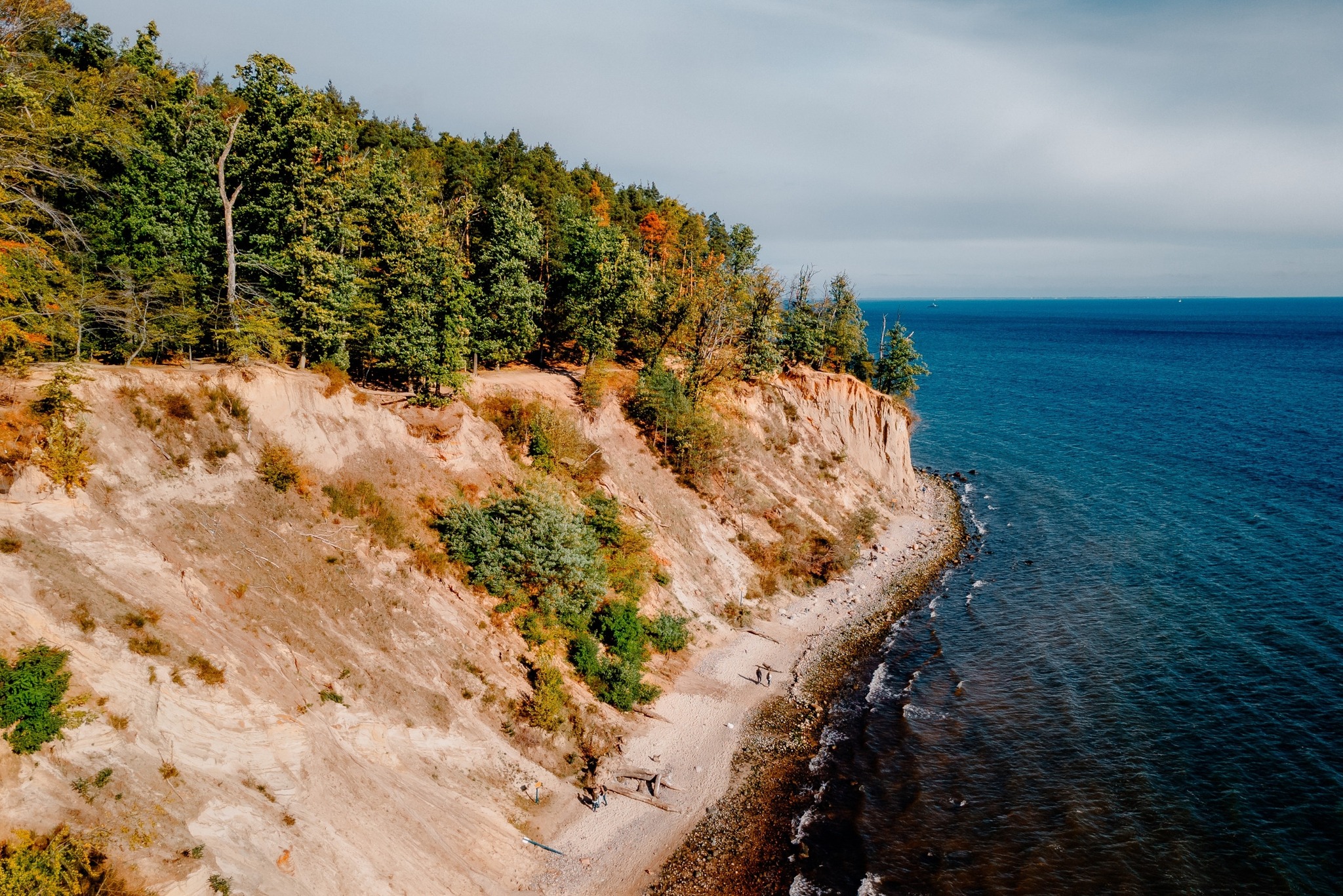 Poland - Orłowski Cliff 🏝🪨🪸 The cliff itself is approximately 50-metre ...