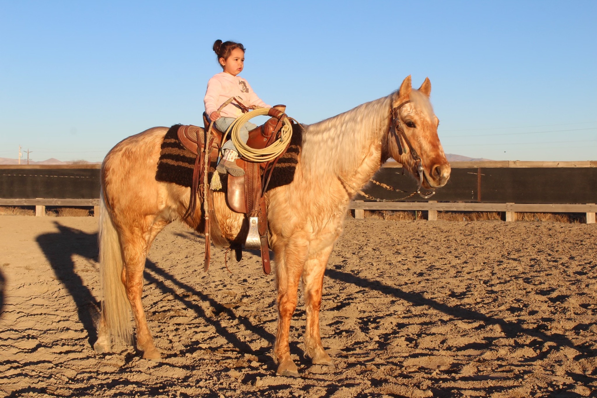 Introducing: Peppys... - Winnemucca Ranch Hand Rodeo Weekend | Facebook