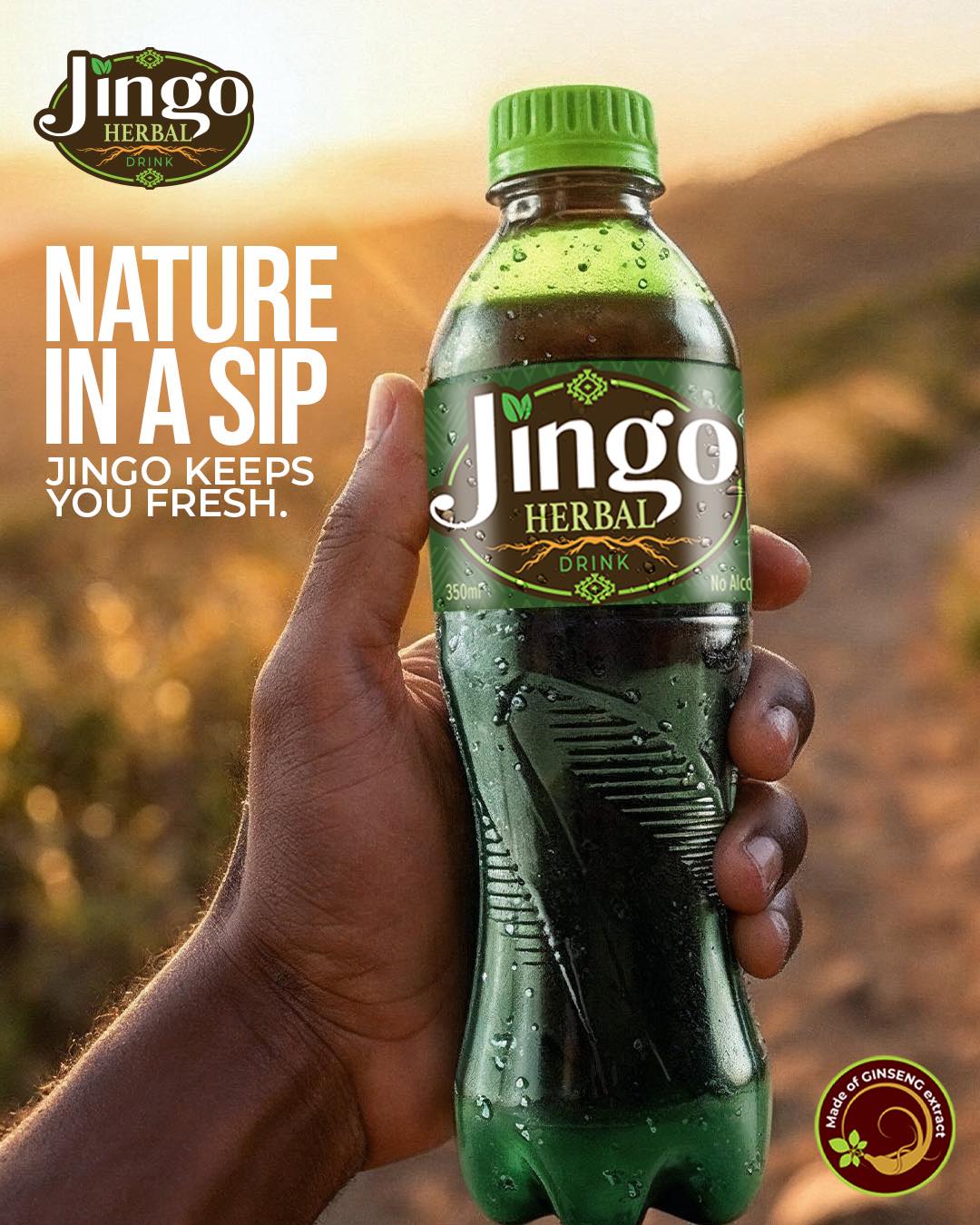 Jingo Herbal Drink