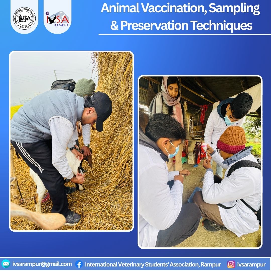 Vet-saw NPI | Bharatpur