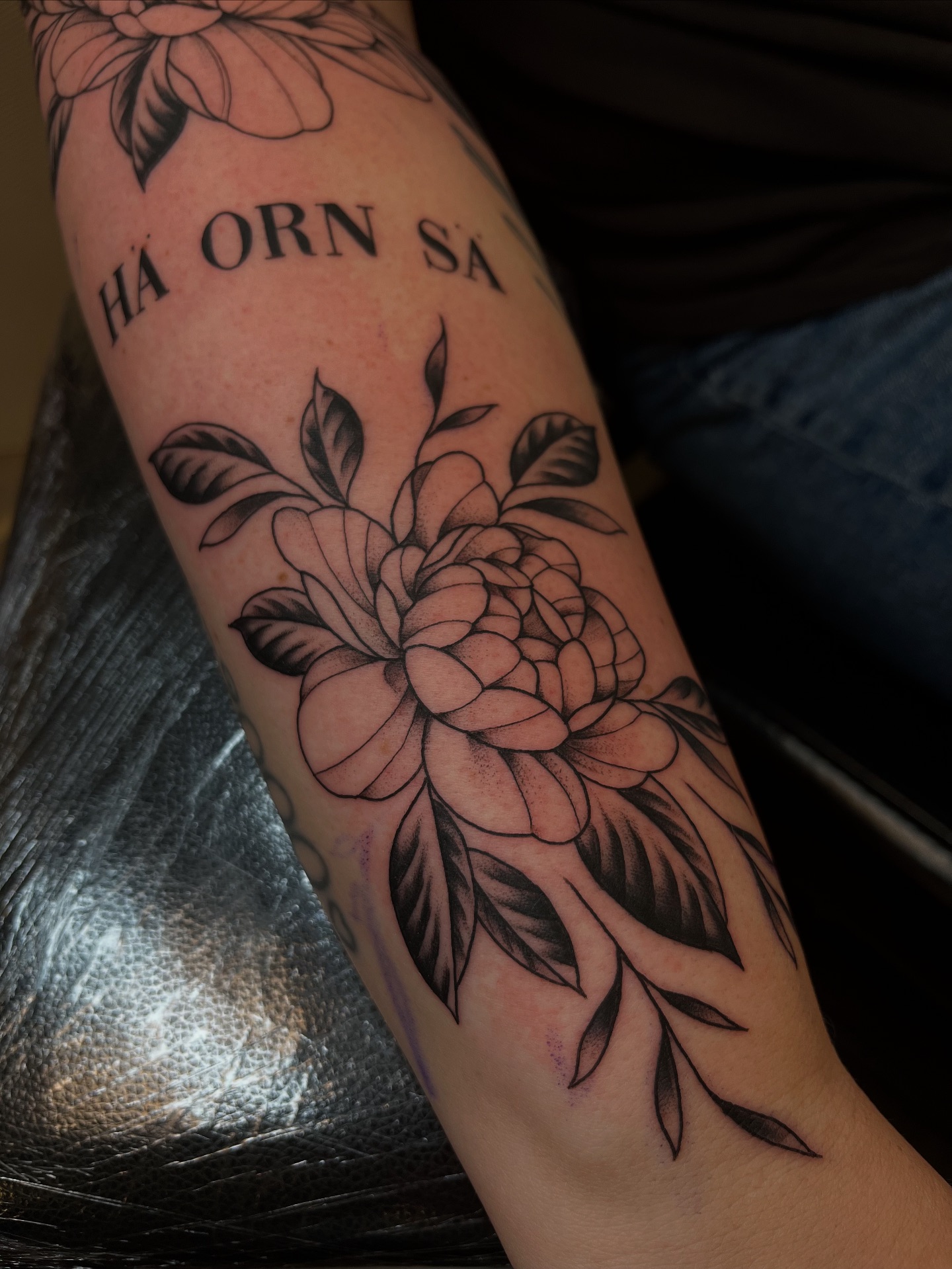 Studio Frösön | Östersund
