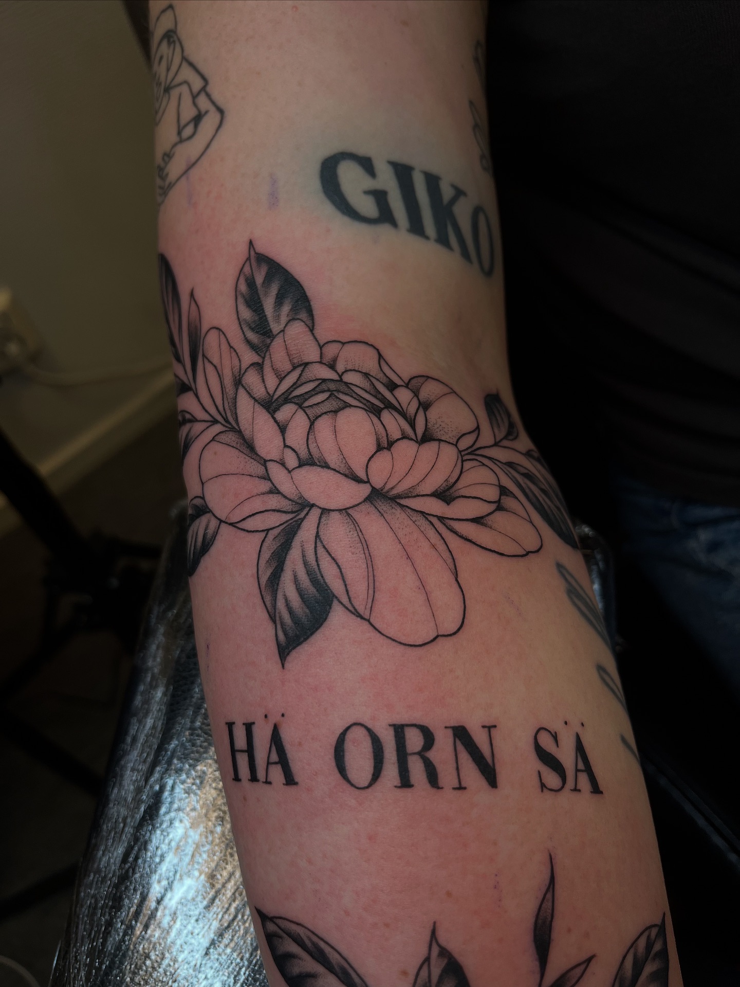 Studio Frösön | Östersund