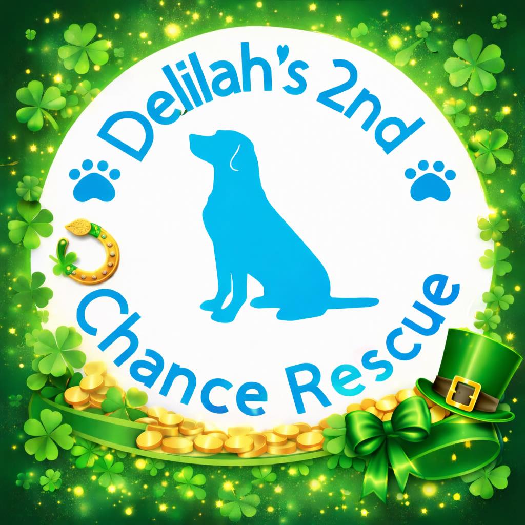 🚨 URGENT: Suki Needs a New... - Delilah’s 2nd Chance Rescue | Facebook