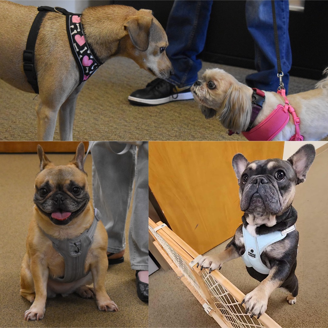 Element Engineering Group | Tampa FL