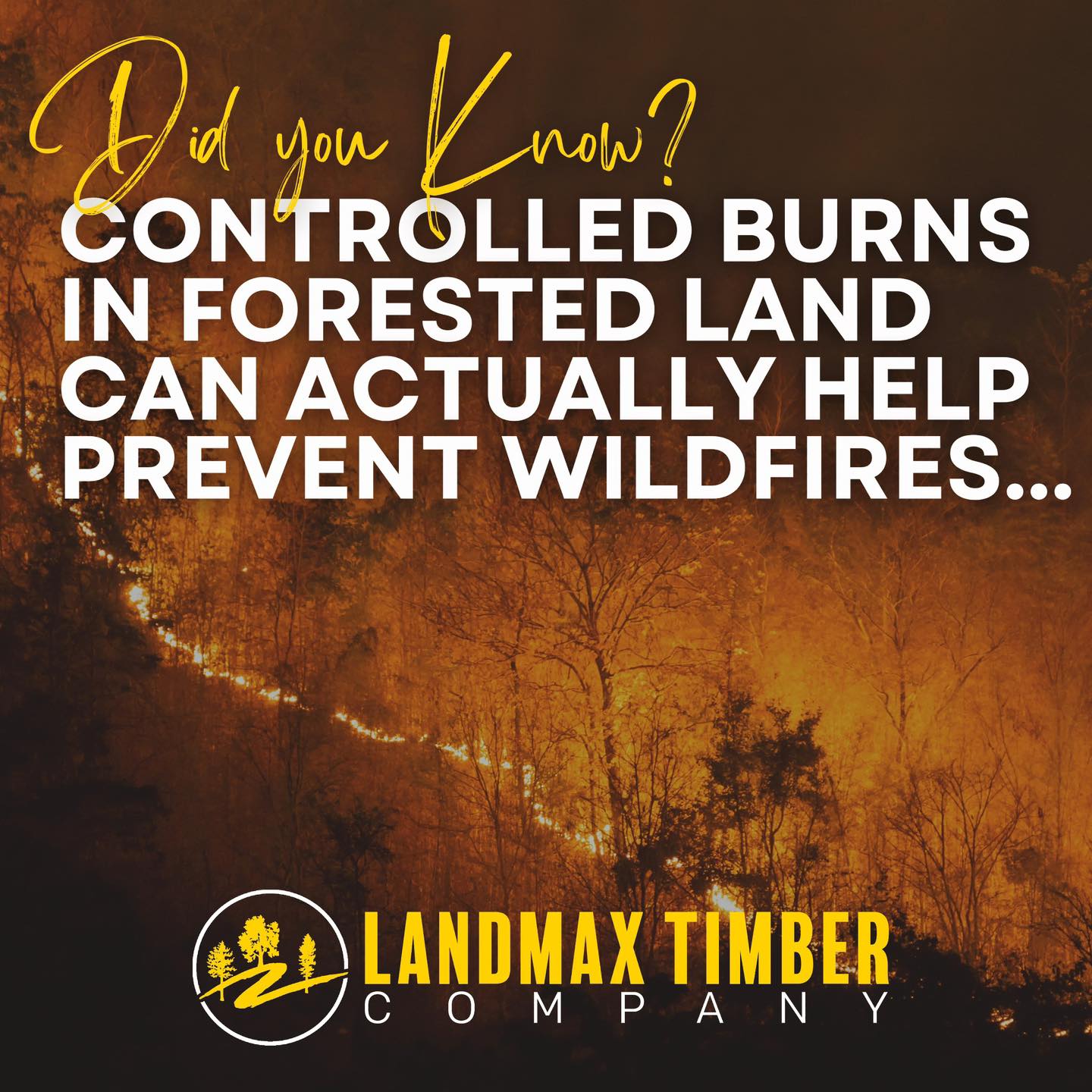 LandMAX Timber Company, INC. | Brookhaven MS