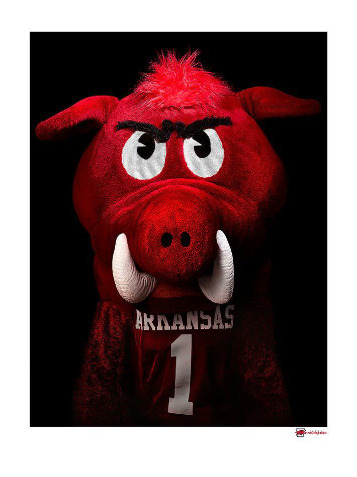 PORTRAIT OF PRIDE: BIG RED Since... - Arkansas Razorbacks | Facebook