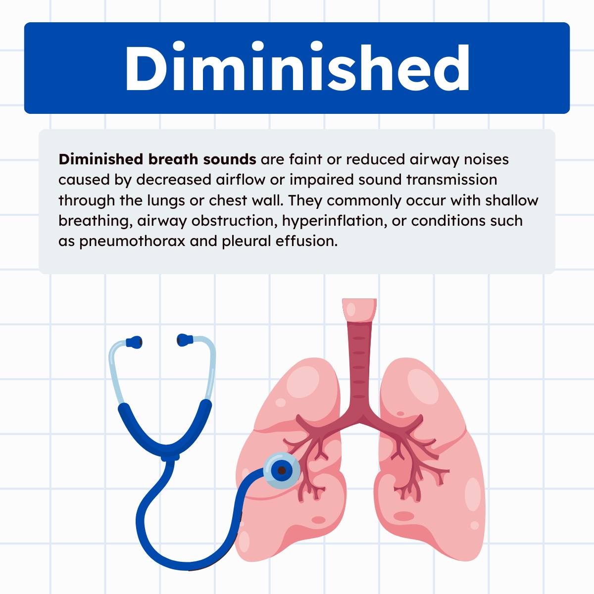 Diminished breath sounds are... - Respiratory Therapy Zone | Facebook