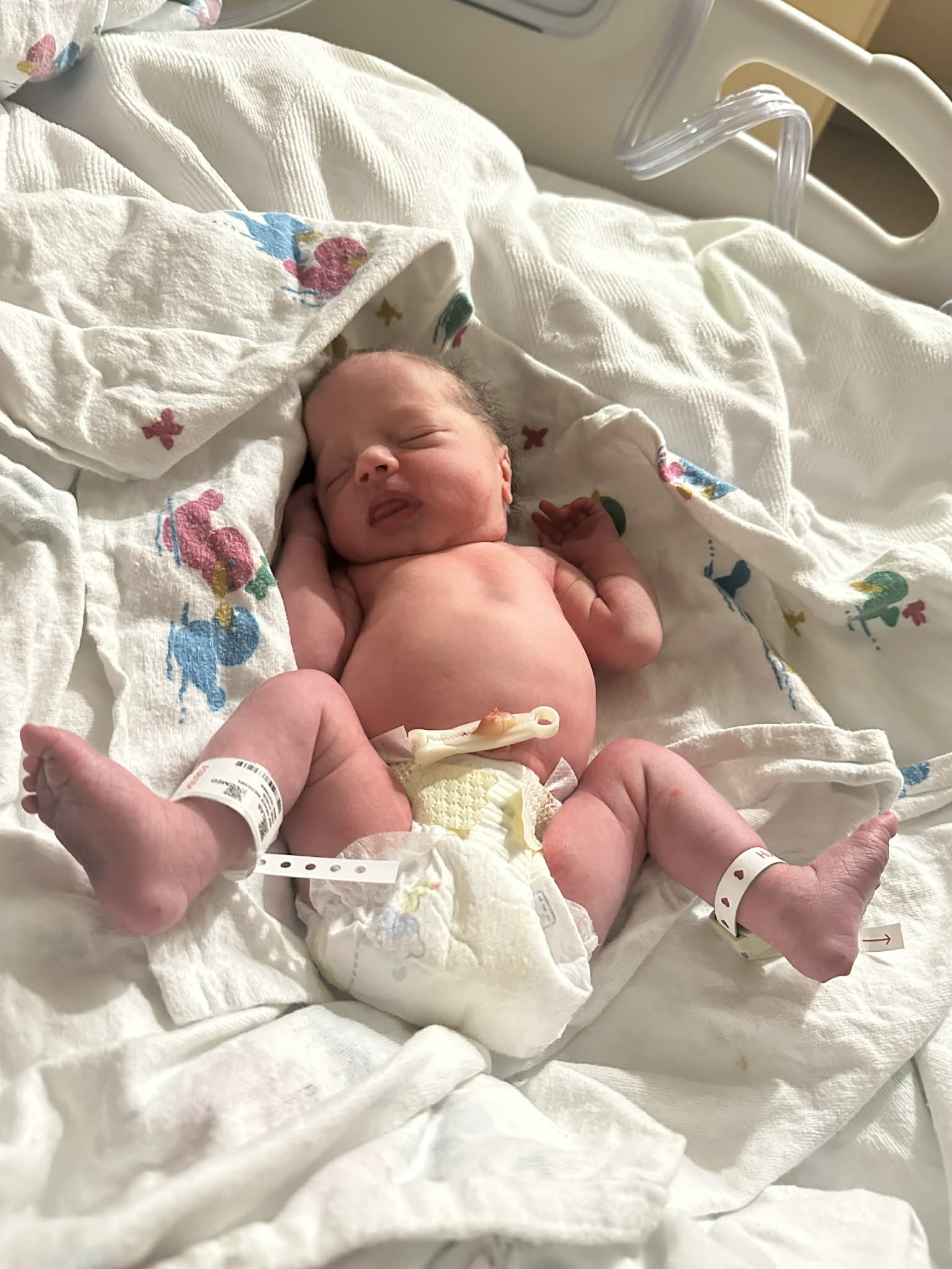 Welcome to the newest member of... - Riedesel Family History | Facebook