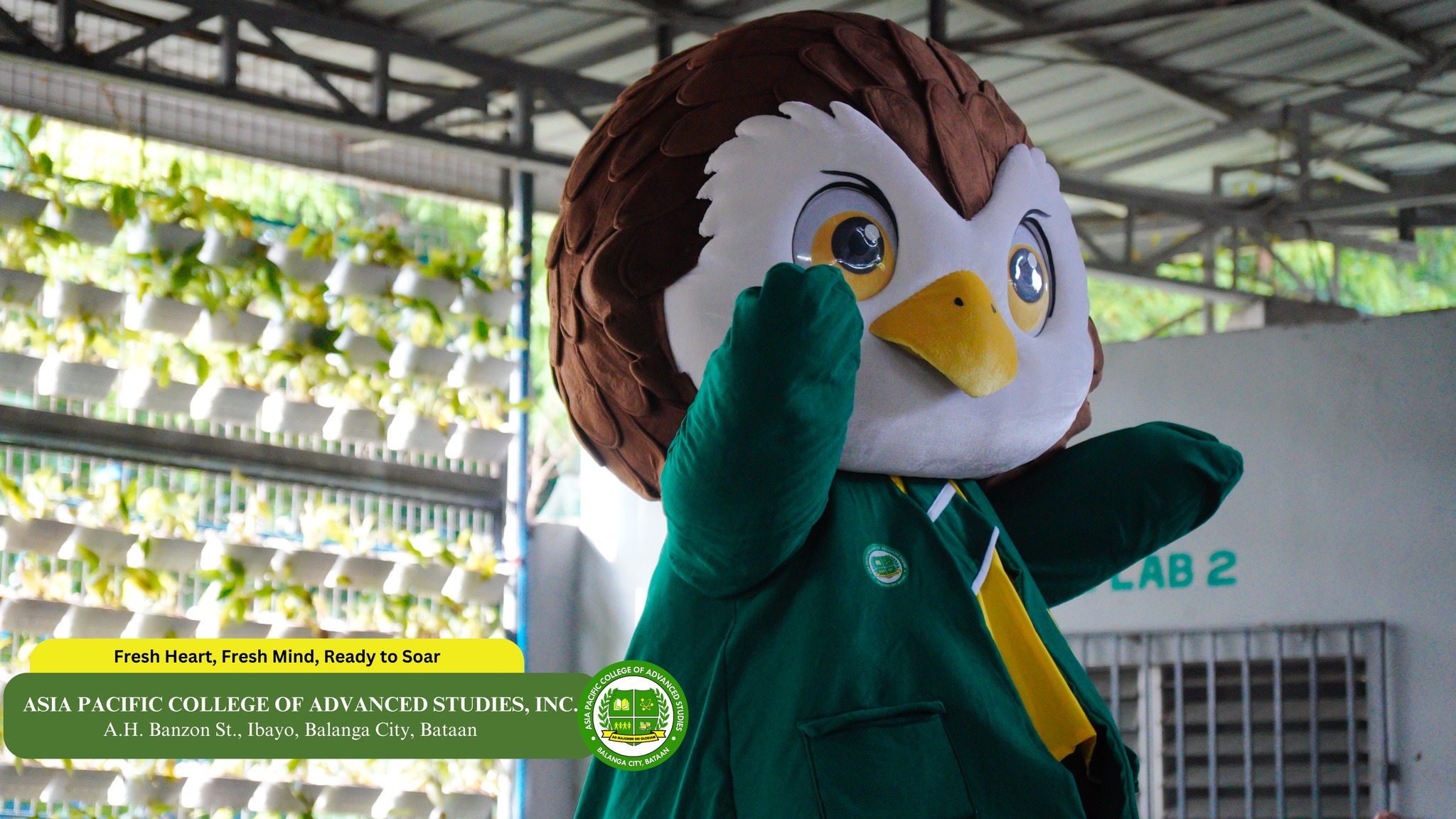 Apcas Balanga - Our Asianistas are officially back in... | Facebook