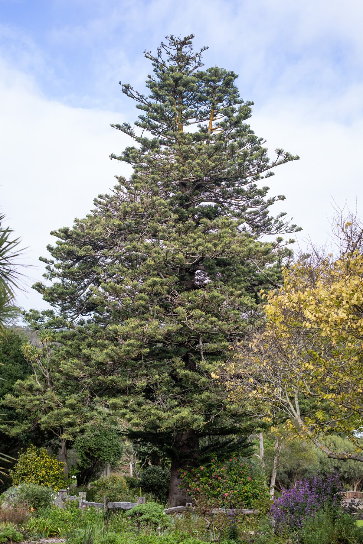The National Trust of Western Australia - Ellensbrook at Mokidup ...