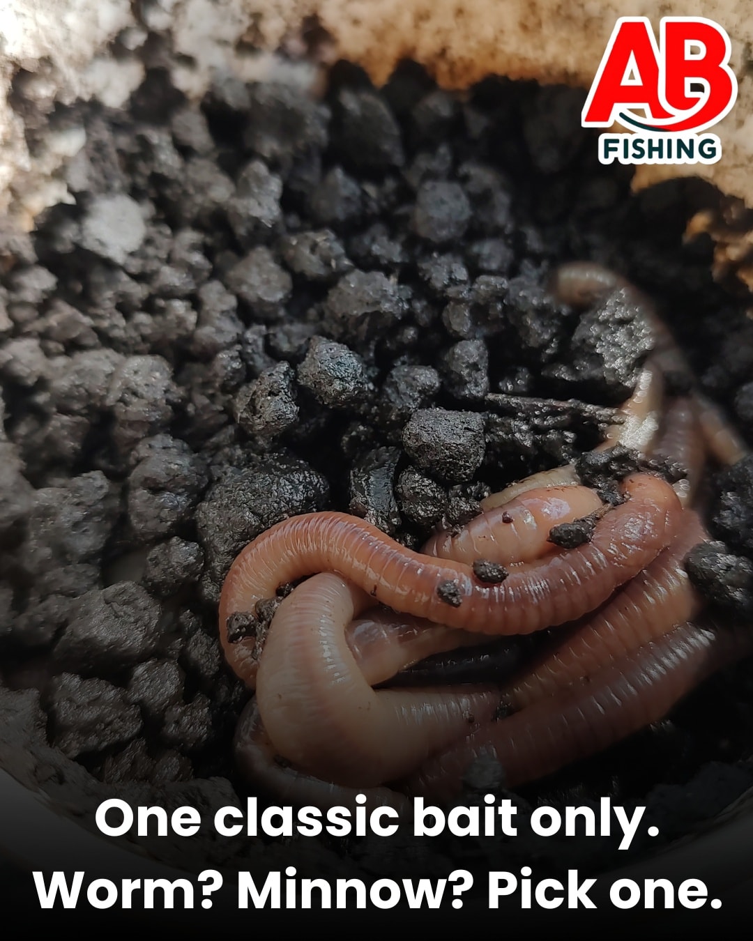 Pick one. Worms or minnows? 💬 - Andrew Batschelet Fishing | Facebook