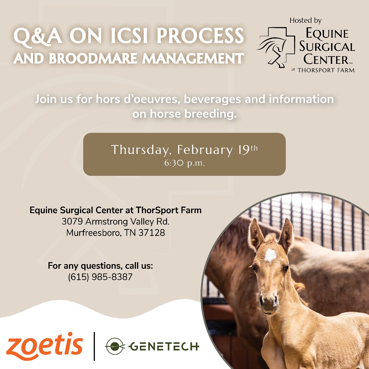 🐴 Exciting Things Happening at Equine Surgical Center at ThorSport Farm ...