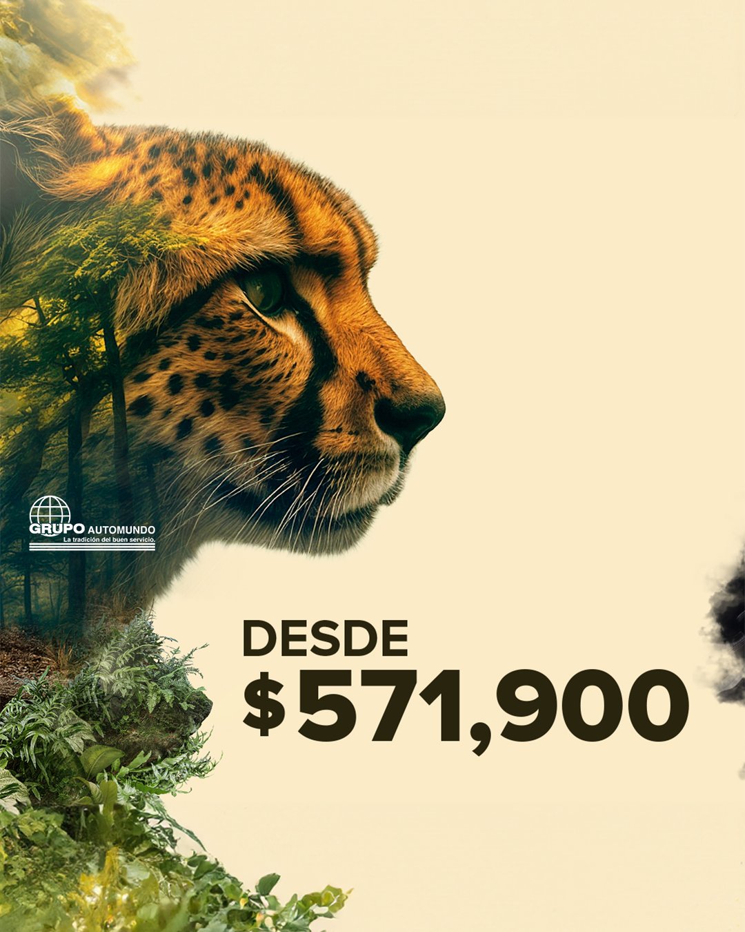 Automundo Interlomas | Huixquilucan