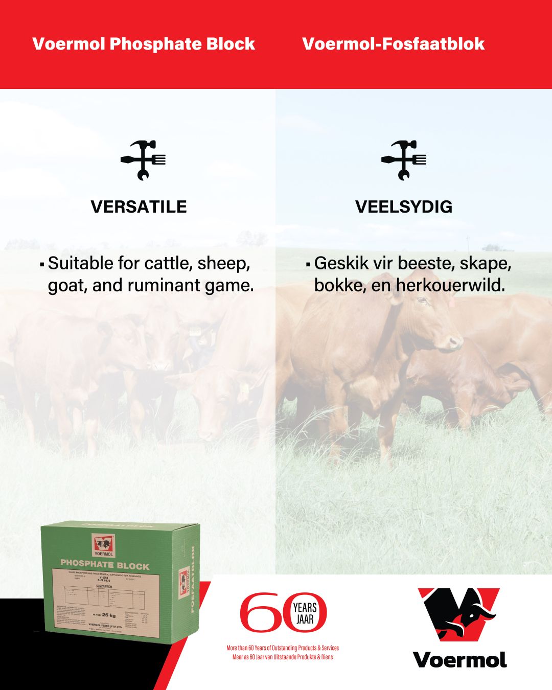 voermol-feeds-sa-upper-tongaat