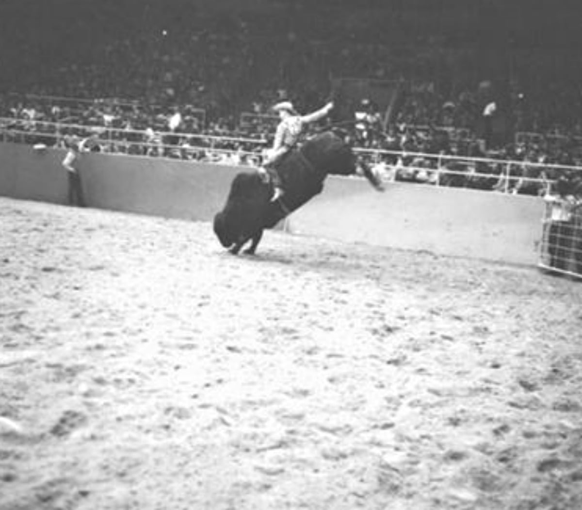 The very first National... - The Bull Riding Hall of Fame | Facebook