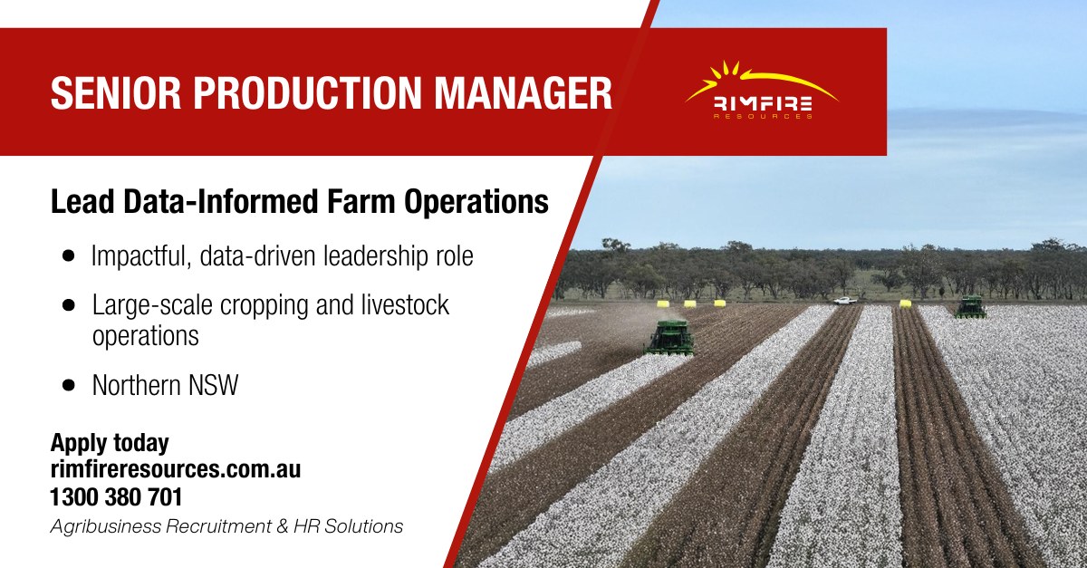 Rimfire Resources | Melbourne VIC