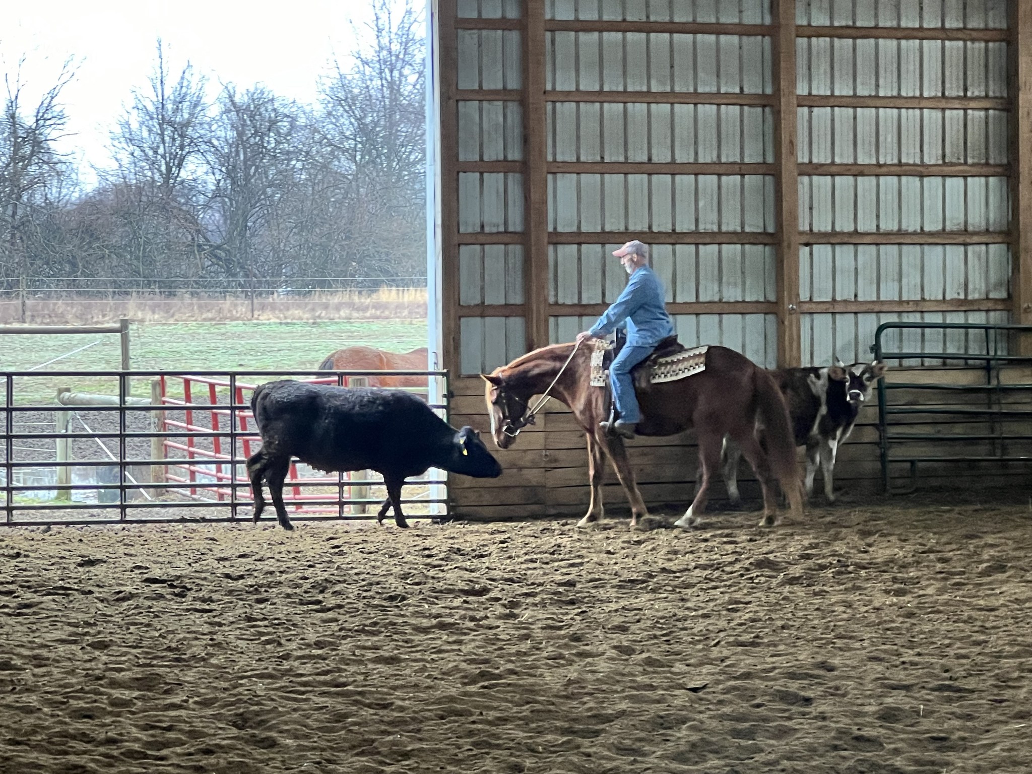 CRC Ranch Horses | Marengo OH