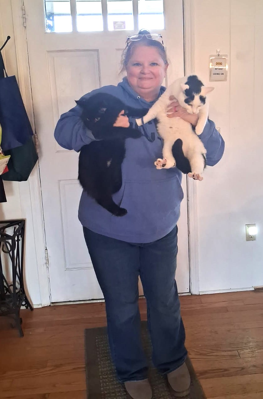 #meowmeowmonday Very... - Floyd County Humane Society, VA | Facebook