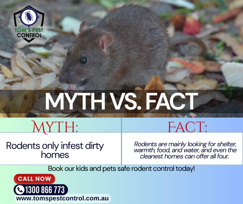 Tom's - Myth: Rodents only infest dirty homes. Fact: Even the cleanest ...