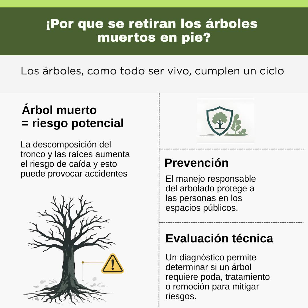 Pro Bosque de Chapultepec... - Pro Bosque de Chapultepec