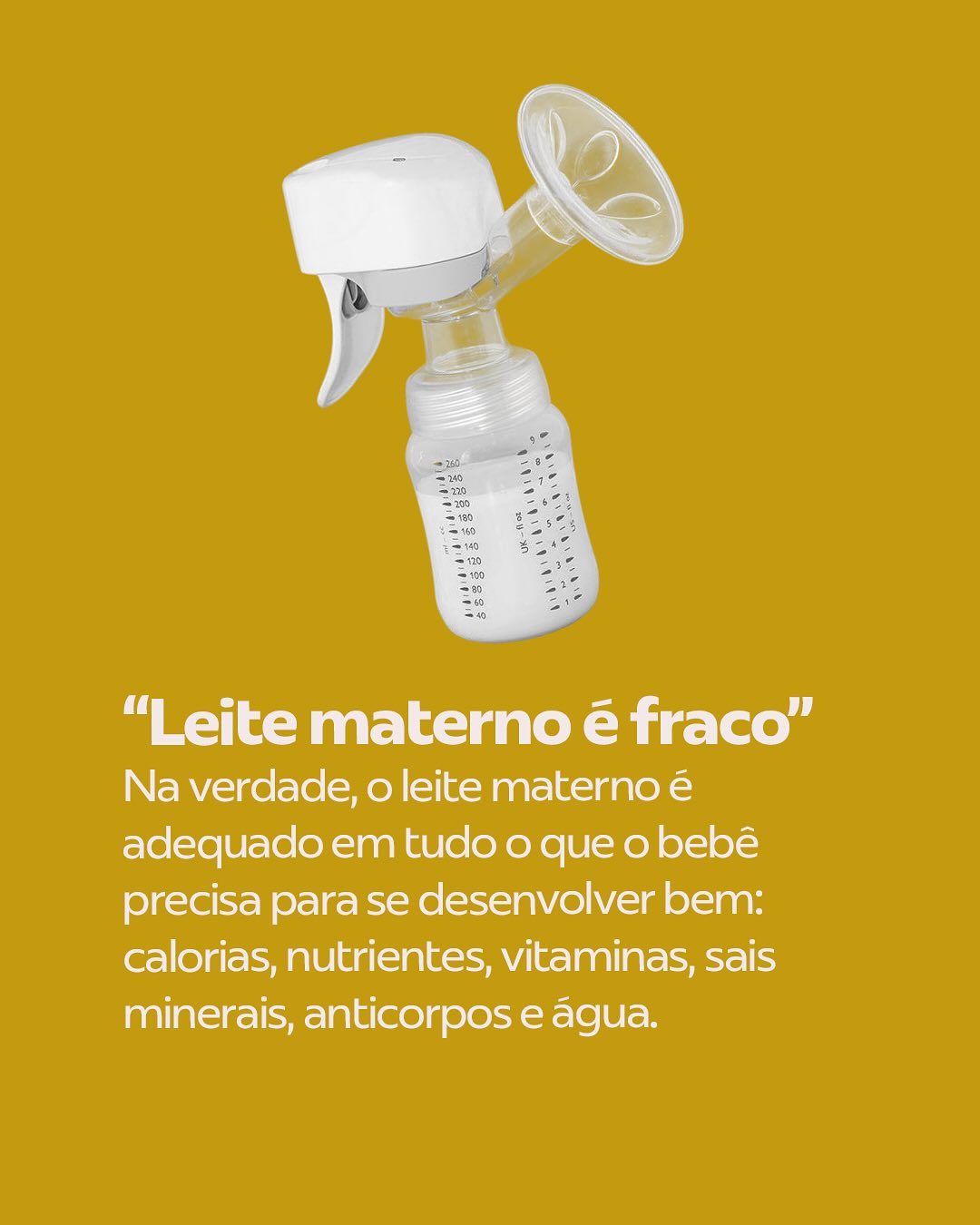 WebDiet l Software de... - WebDiet l Software de Nutrição