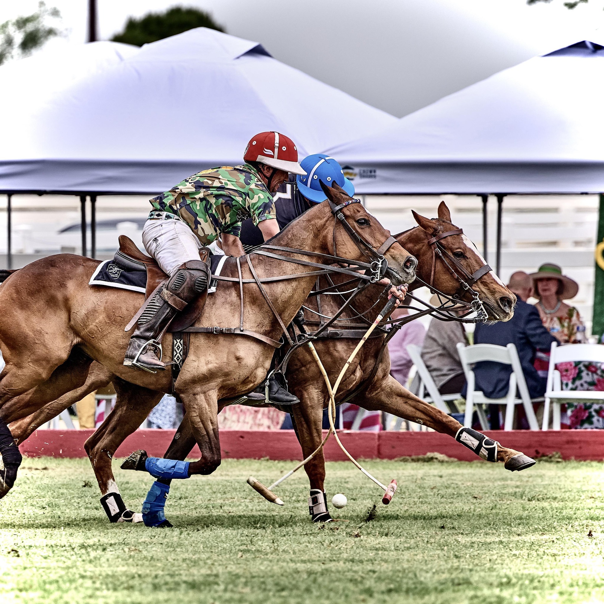 San - Some days it’s beyond gratifying to match riders with horses, and ...