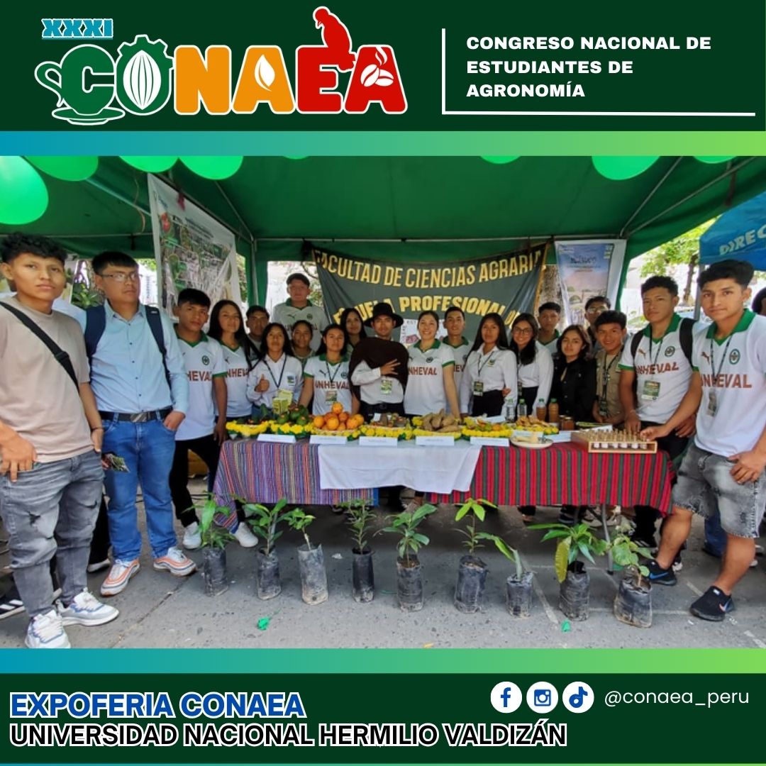 CONAEA-Quillabamba 2025 - 🔰 ATENCIÓN ESTUDIANTES, EGRESADOS Y ...