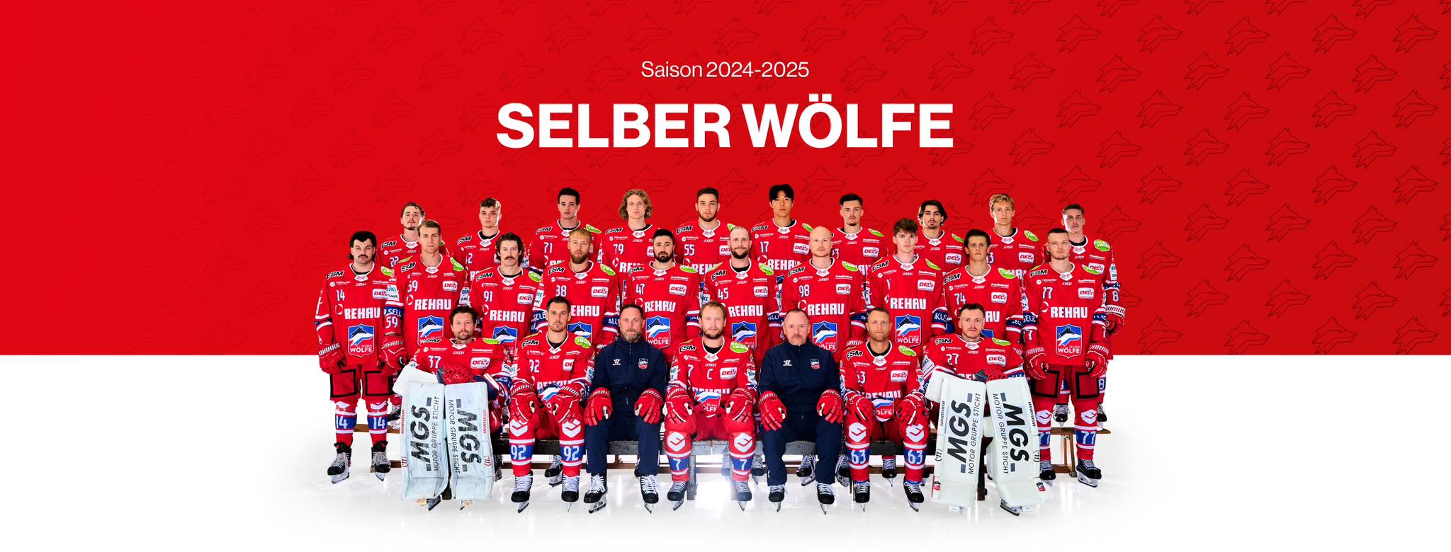 Selber Wölfe (VER Selb) | Selb